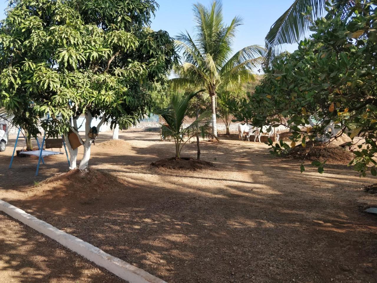 Shree Samarth Farmhouse Murud  Exterior photo